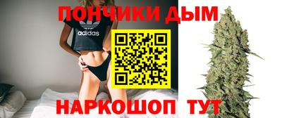 индика Аргун