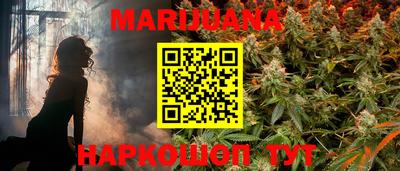 индика Аргун