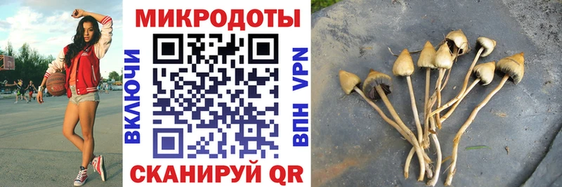 наркошоп  Белореченск  Псилоцибиновые грибы мухоморы 