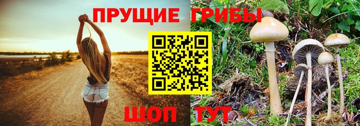 Галлюциногенные грибы мицелий Белореченск