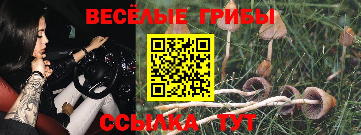 Псилоцибиновые грибы ЛСД Белореченск