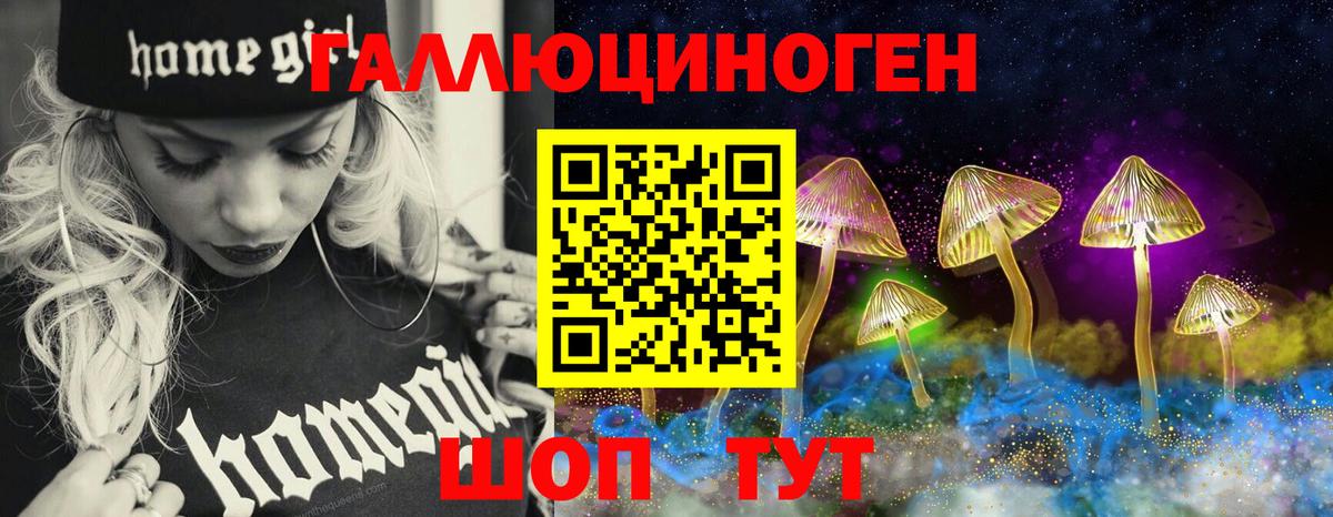 Галлюциногенные грибы GOLDEN TEACHER  Вход с VPN  Белореченск  Псилоцибиновые грибы мицелий 